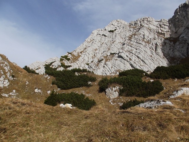 Zárt-tisztás - Királykő-hegység